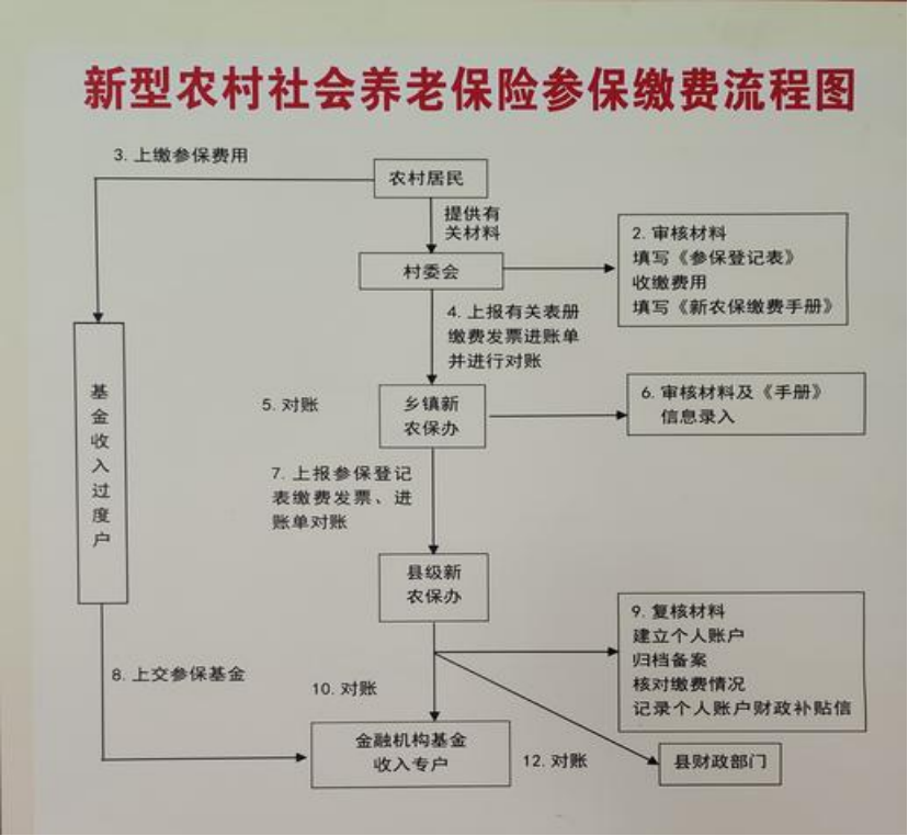 大庆农村医保和社保有什么区别(农村医保跟社保的区别)